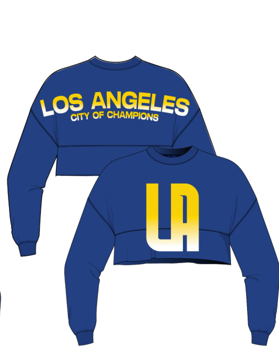 Champion sweater crop top jersey hotsell